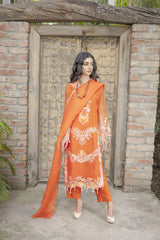 Organza 3 Piece Shirt, Trousers And Dupatta EC423